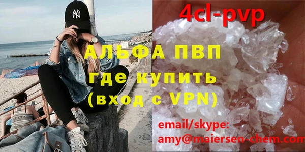 крисы Алексин