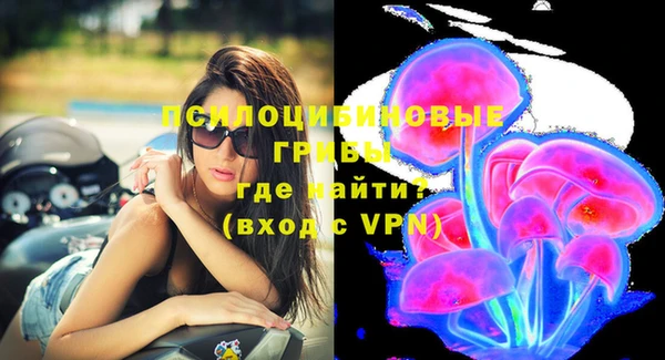 гидропоника Михайлов