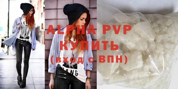 крисы Алексин